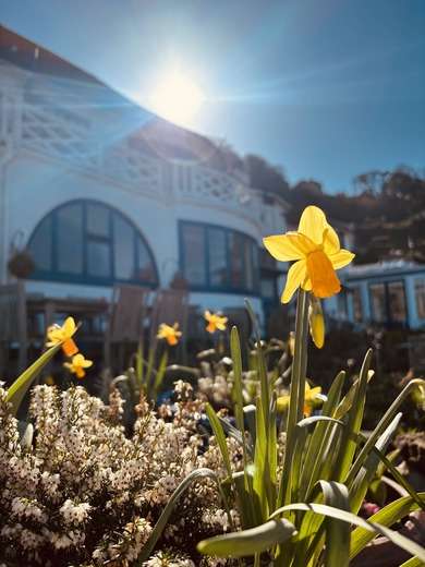 Spring Bubbles & Spa